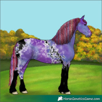 Horse Color:Painted Watercolor Black Tobiano 