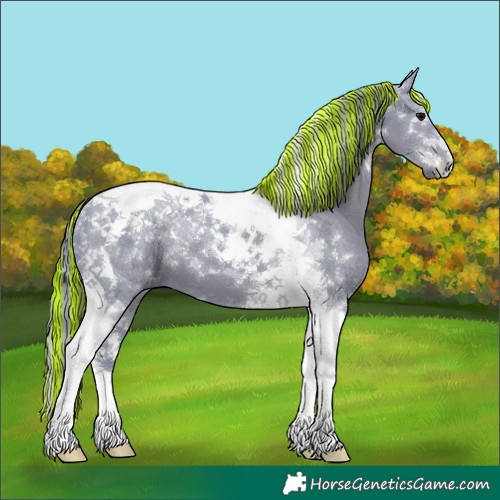 Horse Color:Painted Watercolor Black Tobiano 