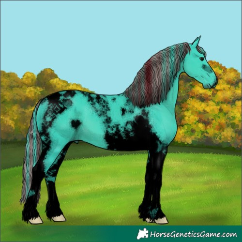 Horse Color:Void Painted Watercolor Black Tobiano 