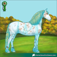 Horse Color:Painted Thunderstruck Red Dun Sabino Appaloosa 