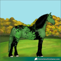 Horse Color:Void Watercolor Black Chinchilla Tobiano 