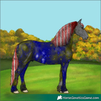 Horse Color:ERROR: UNKNOWN ANOMALY
