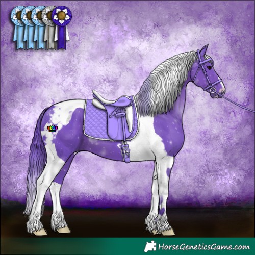 Horse Color:Watercolor Black Tobiano 