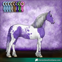 Horse Color:Watercolor Black Tobiano 