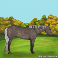 Horse Color:Silver Brown Dun 