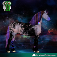 Horse Color:Void Painted Watercolor Grullo Tobiano 