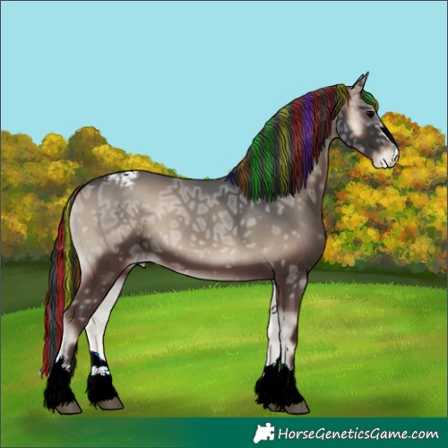 Horse Color:Painted Blue Onyx Ice Appaloosa 
