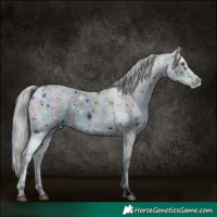 Horse Color:ERROR: UNKNOWN ANOMALY