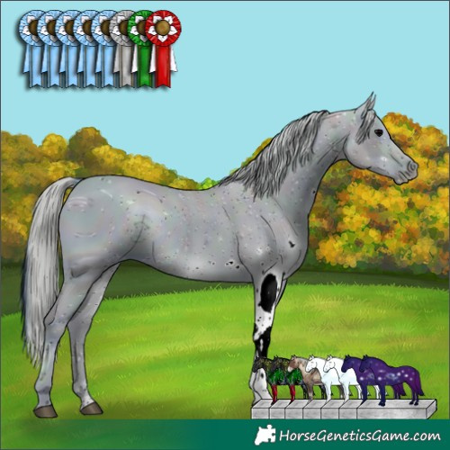 Horse Color:ERROR: UNKNOWN ANOMALY