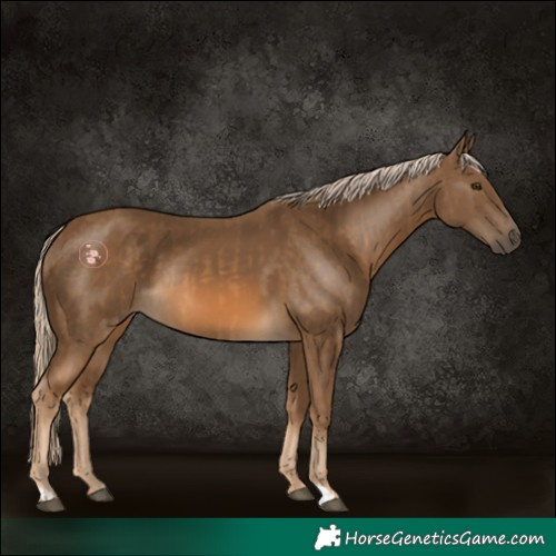 Horse Color:Chocolate Palomino  and Chocolate Palomino 
