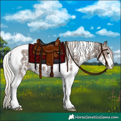 Horse Color:Silver Black Sabino Tobiano 