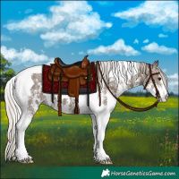 Horse Color:Silver Black Sabino Tobiano 