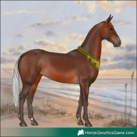 Horse Color:Silver Brown 
