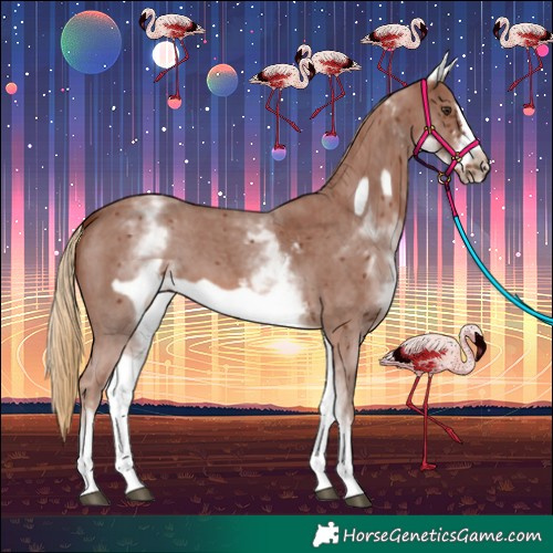 Horse Color:White Spotted Chestnut Sabino Frame 