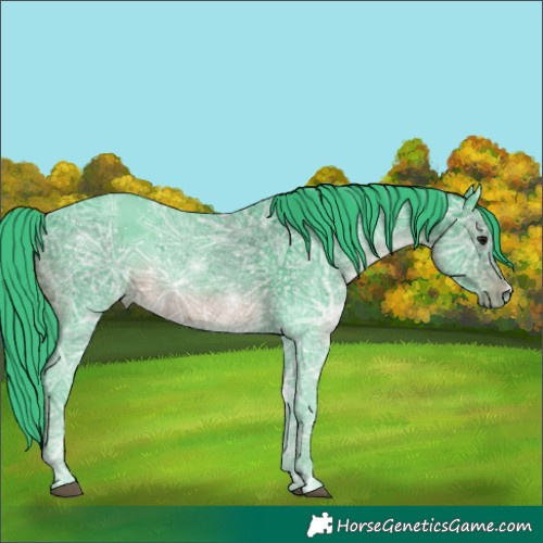 Horse Color:Void Watercolor Smoky Black Ice 