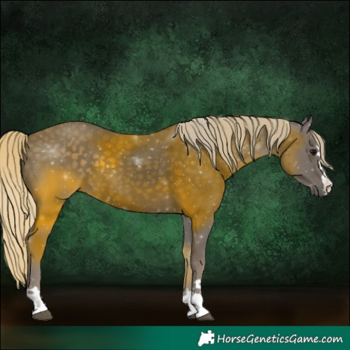 Horse Color:Silver Smoky Black 