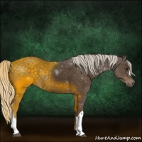 Horse Color:Silver Smoky Black