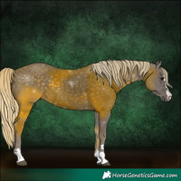 Horse Color:Silver Smoky Black 