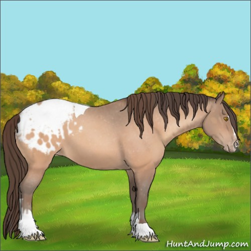 Horse Color:Amber Champagne Sabino Tobiano Blanket  and Amber Champagne Sabino Tobiano Snowcap 