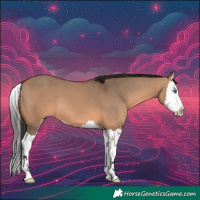 Horse Color:Bay Dun Splash 