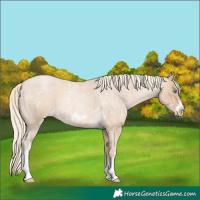 Horse Color:Chocolate Palomino Roan Pearl Tobiano Frame  and Palomino Roan Pearl Tobiano Frame 