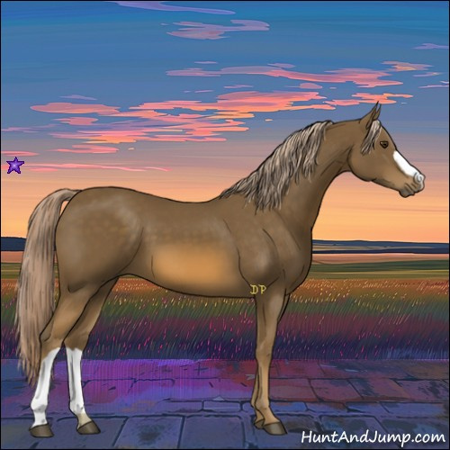 Horse Color:Chocolate Palomino 