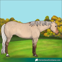 Horse Color:Silver Bay Dun 