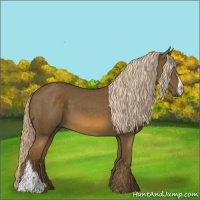 Horse Color:Chocolate Palomino 