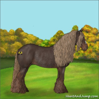 Horse Color:Liver Chestnut Rabicano 