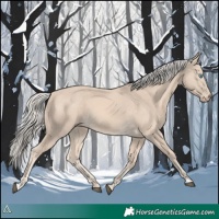 Horse Color:Cremello 