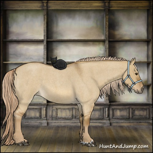 Horse Color:Chocolate Palomino Roan Dun