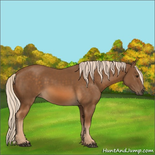 Horse Color:Chocolate Palomino