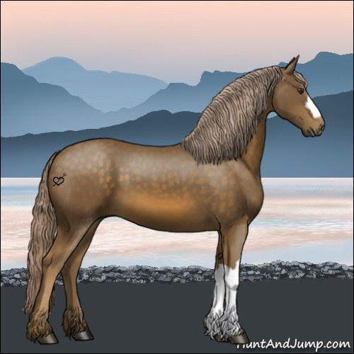 Horse Color:Chocolate Palomino
