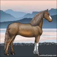Horse Color:Chocolate Palomino 