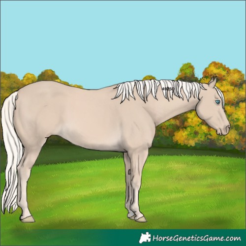 Horse Color:Cremello 
