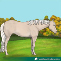 Horse Color:Cremello 