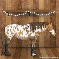 Horse Color:Buckskin Near Leopard  and Buckskin Blanket 