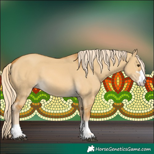 Horse Color:Palomino Dun