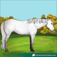 Horse Color:Gray Silver Brown Pearl 