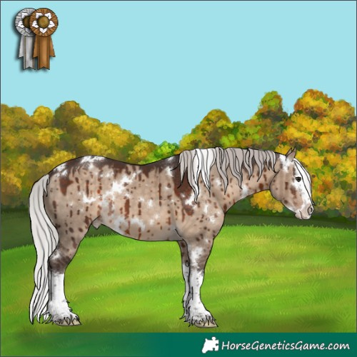 Horse Color:White Spotted Silver Brown Dun Splash Brindle 