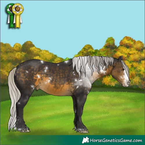 Horse Color:White Spotted Silver Buckskin Mushroom Sabino Splash 