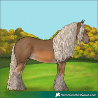 Horse Color:Chocolate Palomino 