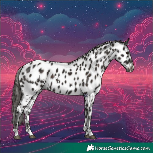 Horse Color:White Spotted Liver Chestnut Near Leopard