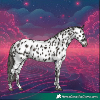 Horse Color:White Spotted Liver Chestnut Near Leopard 