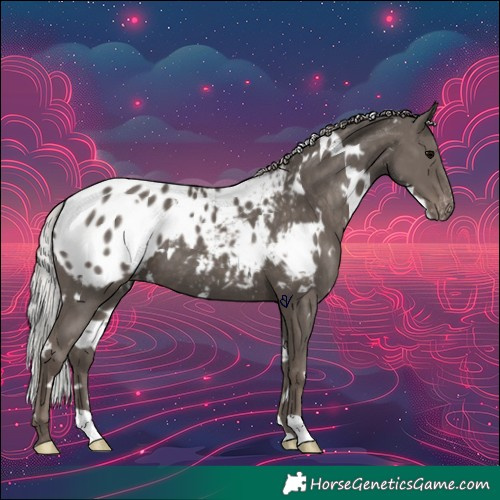 Horse Color:White Spotted Silver Black Blanket