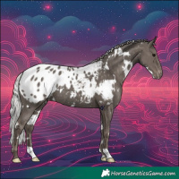 Horse Color:White Spotted Silver Black Appaloosa 