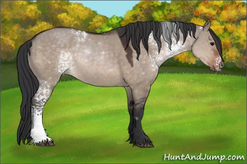 Horse Color:White Spotted Brown Dun 