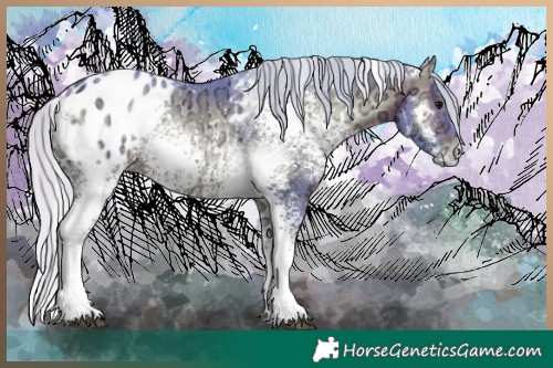 Horse Color:Watercolor White Spotted Silver Brown Ice Onyx Appaloosa 