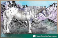 Horse Color:Watercolor White Spotted Silver Brown Ice Onyx Appaloosa 