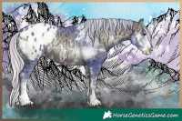 Horse Color:Watercolor White Spotted Silver Brown Ice Onyx Appaloosa 